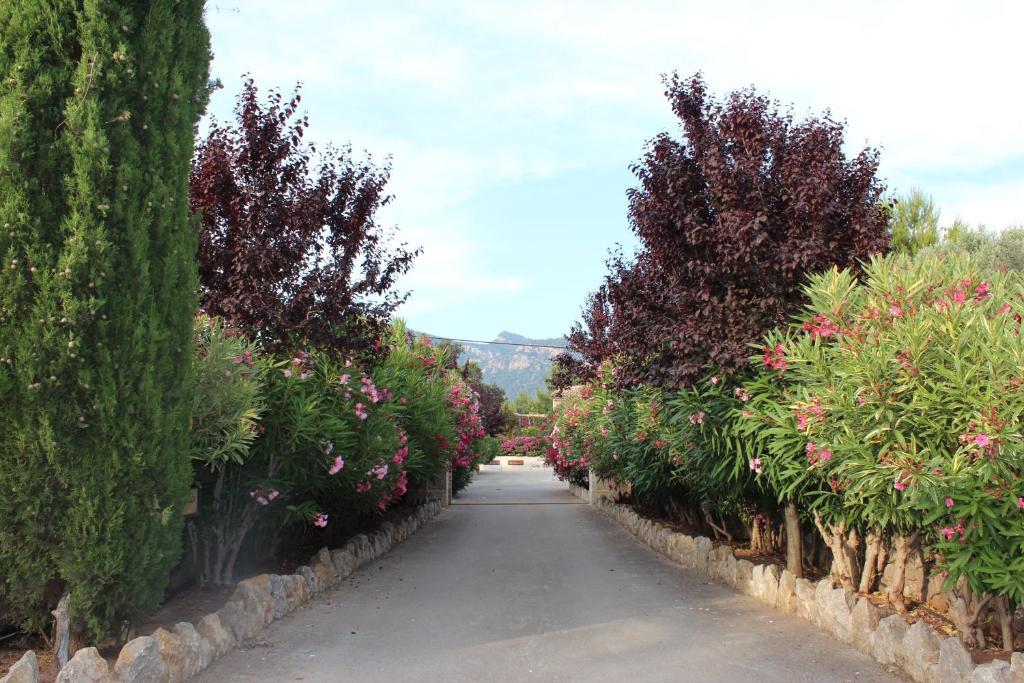 Cases de Ca's Garriguer Valldemossa  Exterior foto